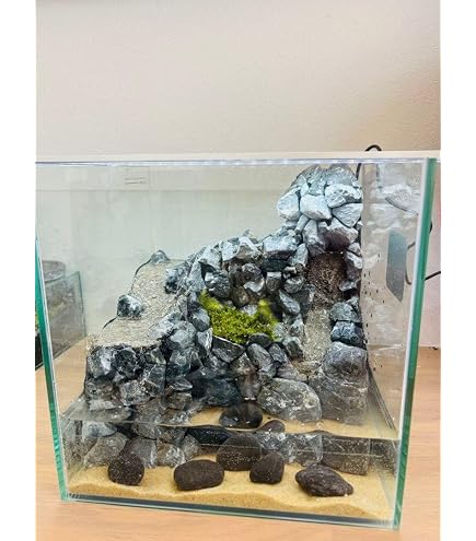 Amazon.co.jp: 受注作 アクアテラリウム 滝 池 苔テラリウム 30cm水槽