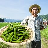 枝豆 おつまみ栽培チャレンジセット