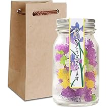 夏の怖いお話 ゴキブリが飛んだ時様 銀杯 約217g 天賞堂