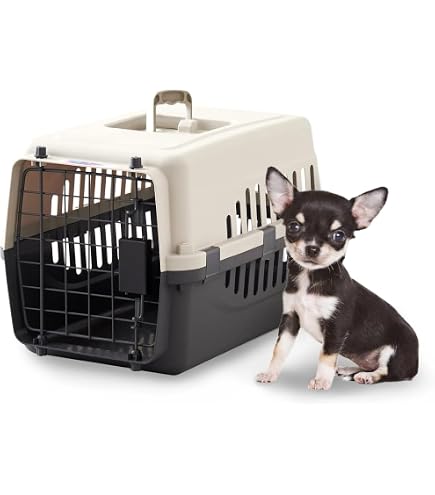 Amazon | 4Pets ペントハウス ペット キャリー カサブランカ 小型犬