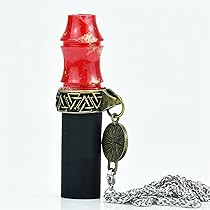 61f6Ooq4w2L._AC_UL210_SR210,