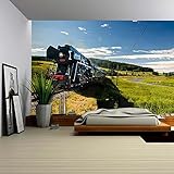 (ウォール26) wall26自己粘着式壁紙 大型壁画シリーズ 100"x144" WMR-WP-X-C183-100x24x6