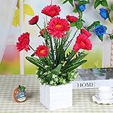 シミュレーション人工花鉢植えFakeシルク花セットwith Ironポット One Size レッド 550829457149-1
