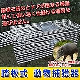 トラップゲージ 捕獲器 踏板式 小動物 動物捕獲器 害獣 キャッチャー 農業 作物 対策