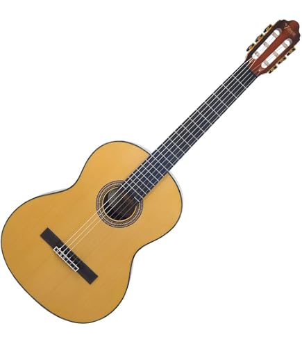 Amazon | Valencia VC204 クラシックギター初心者8点セット クラシック