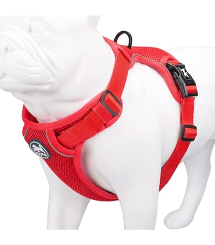 犬用ハーネス 3M反射 リード Lサイズ 脱げない 胴輪 ペット 丈夫 レッド 楽天市場】犬 ハーネス 抜けない 抜けにくい 名入れパッチ 脱走