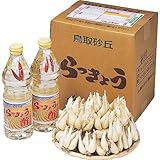 鳥取 根付らっきょう 漬込みセット