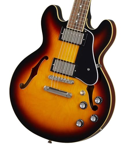 Amazon | Epiphone エピフォン セミアコギター ES-339 Pro Ebony 