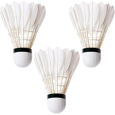 Amazon.co.jp Hot New Releases: The bestselling new & future