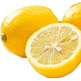 国産レモン 3kg 福岡県産 九州各地産 農薬防腐剤防かび剤ワックス不使用 ベジップル フルーツマイスター