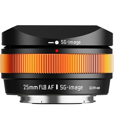Amazon.co.jp: Sigma 30mm F2.8 EX DN Sony E-Mount Digital Dedicated
