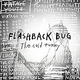 FLASHBACK BUG