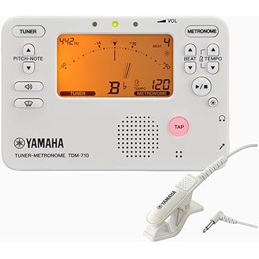 Amazon.co.jp 最新リリース: ギター の新着ランキングです。