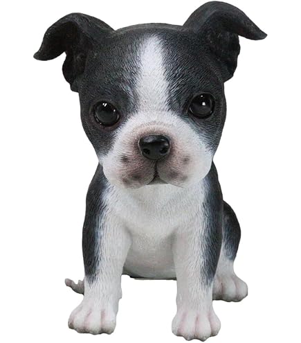 Amazon.co.jp: Veronese Design 2 5/8インチ ボストンテリア 子犬 樹脂