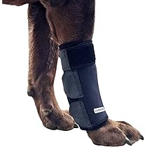 dog ankle brace front leg