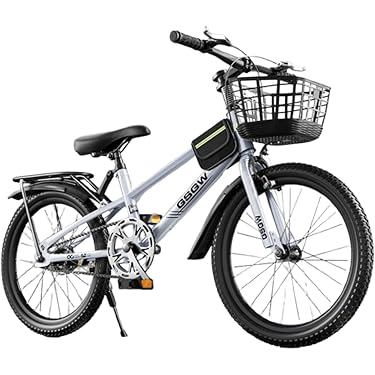 Amazon.co.jp 最新リリース: シティー・ファミリーサイクル の新着