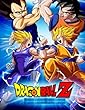 Dragon Ball Z: Coloring Book for Teens and Kids