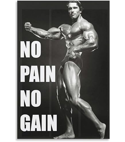 Amazon.co.jp: アーノルド・シュワルツェネッガーGYMモチベーション