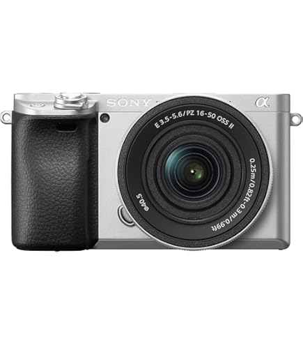 SONY α6100 ボディ sony α6100 ボディ」の人気商品一覧 | 安い商品を通販サイトから探す