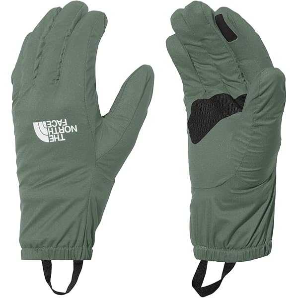 Amazon | [THE NORTH FACE] フィルデンスキャンプグローブ