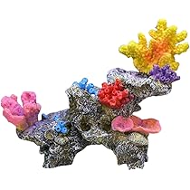 ブレインコーラル サンゴ 標本 16cm 自然科学 インテリア アクアリウム ブレインコーラル サンゴ 標本 16cm 自然科学 インテリア