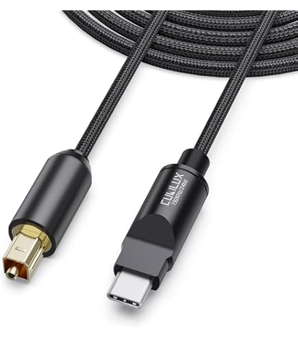 Amazon | CS-30TCR Type-C to RCA同軸ケーブル | カイン (Cayin) | RCA