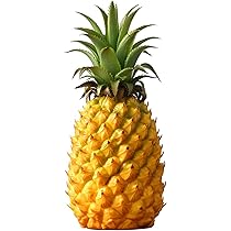 61fJVHEcsFL._AC_UL210_SR210,