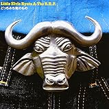 �ǂ����݂����̂���