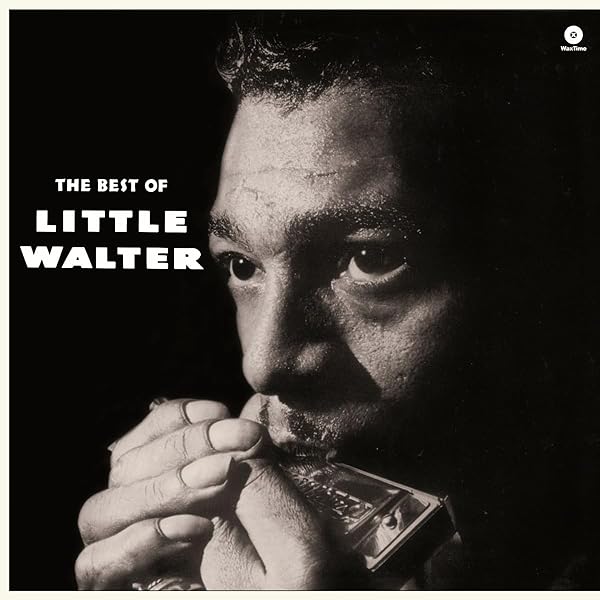 Amazon.co.jp: HATE TO SEE YOU GO [LP] (180 GRAM) [Analog