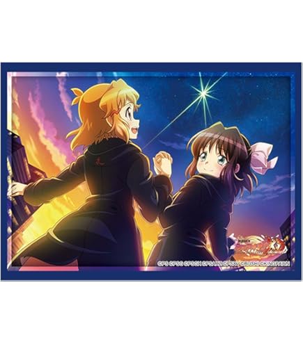 Amazon | ブシロードスリーブコレクションHG (ハイグレード) Vol.309