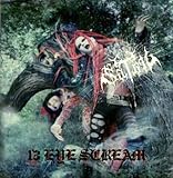 13 EYE SCREAM �`SPECIAL DX edition�`