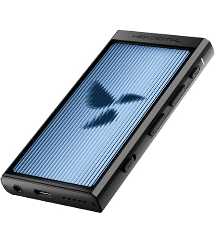 Amazon.co.jp: HiBy M300 128GB Blue : 家電＆カメラ