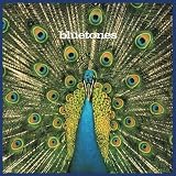 Expecting To Fly [12 inch Analog]