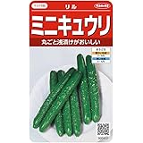 サカタのタネ 実咲野菜0402 ミニキュウリ リル 00920402