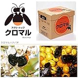 【北海道不可・要着日指定・時間指定不可】 【苺用】受粉用蜂 ハチ 50頭以上 花粉・蜜・巣箱セット アグリ・トップ クロマル DX クロマルハナバチ 代不
