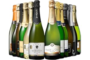 マイワインクラブ 瓶内二次発酵製法 ワイン 入り スパークリング ワイン 12本 セット
