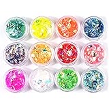 YFFSFDC クラッシュ ホログラム 12色セット ネオンフレーク 素材 手芸 レジン 封入 パーツ ネイルアート ラメフィルム