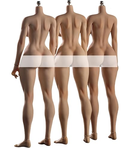 Amazon | [Tbmodel ] VERYCOOL 1/6フィギュア Mサイズバスト 素体 超