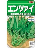 Amazon | 中国野菜 タキイ エンサイ（空芯菜） タキイの空芯菜種