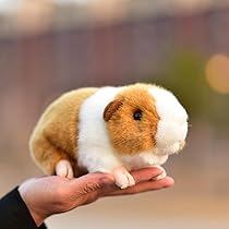 61fR41uAkVL._AC_UL210_SR210,