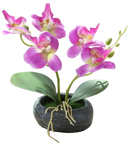 Amazon｜人工観葉植物 胡蝶蘭 造花 光触媒加工 卓上型 船型の鉢植 石鉢