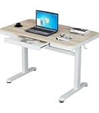 Amazon | LSTLIFE 電動 昇降デスク 昇降式デスク 2モーター 幅120cm