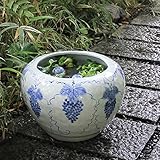 信楽焼 ぶどう絵手ひねりすいれん鉢 睡蓮鉢 スイレン鉢 金魚鉢 水鉢 陶器 su-0205