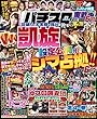 パチスロ実戦術DVD 2018年 06月号