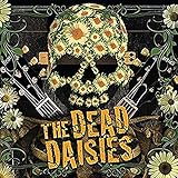 �U�E�f�b�h�E�f�C�W�[�Y