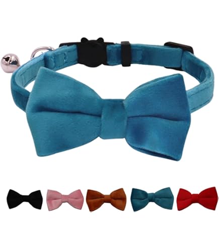 Amazon | (ルイヴィトン)LOUIS VUITTON M58070/M58055 コリエ