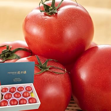 とまと様　ご依頼品 楽天市場】ミニトマト ギフトの通販