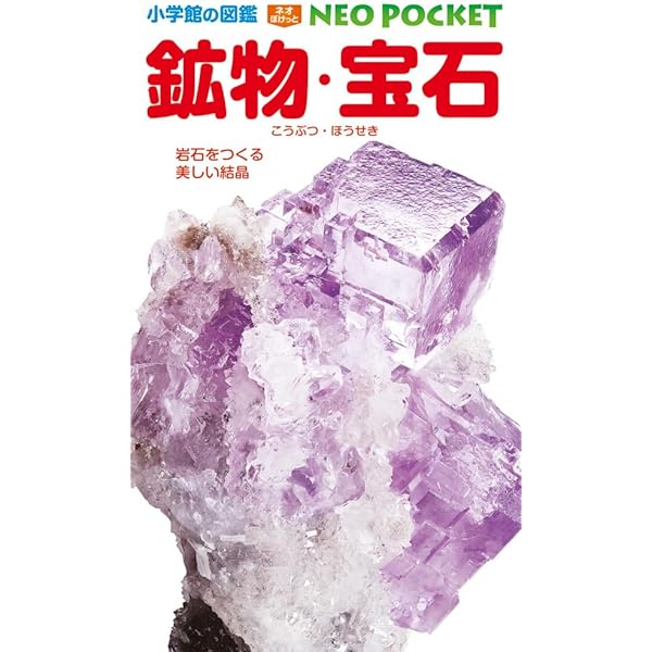 Amazon.co.jp: 音楽 (小学館の図鑑NEO POCKET 19) : 神森 徹也, 直川
