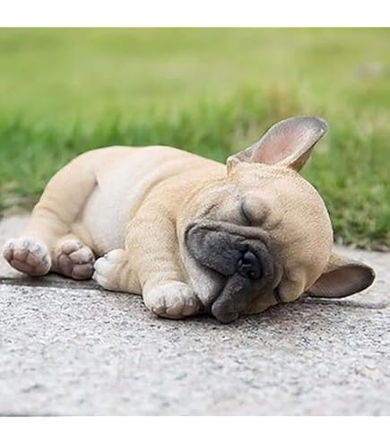 Amazon.co.jp: 眠そうなフレンチブルドッグの子犬の庭の彫像、小さな