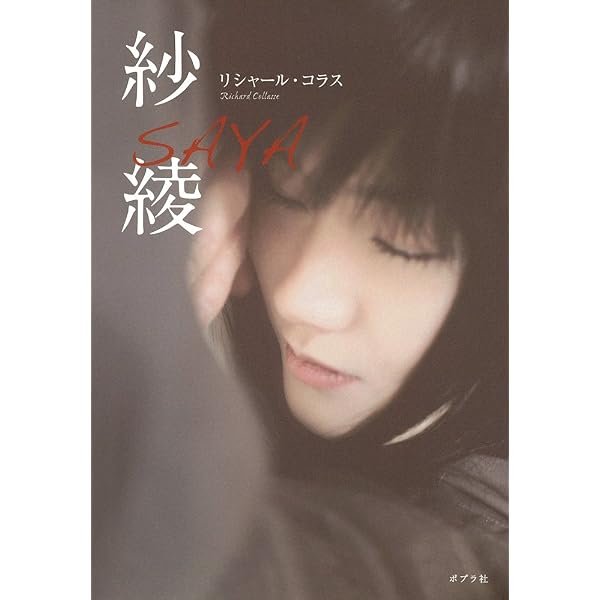 紗綾写真集Seventeen